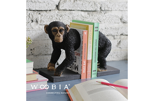 写真:ホームファニシング&ガーデンスタイル