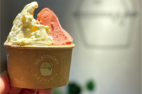 [Dフェア]イメージ写真